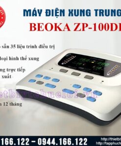 Máy điện xung tần số trung gian ZP-100 DIIB