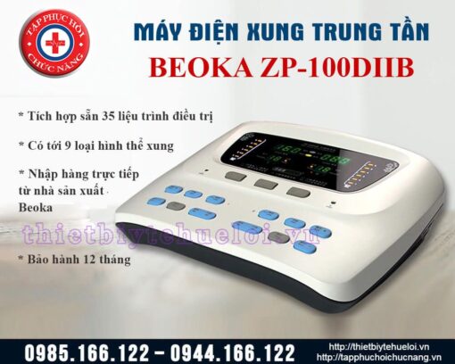 Máy điện xung tần số trung gian ZP-100 DIIB