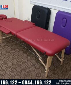 Giường châm cứu bấm huyệt HL1