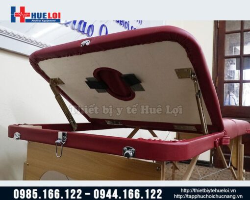 Giường châm cứu massage trị liệu nâng đầu cao cấp HL5
