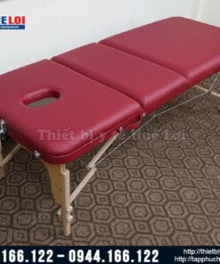 Giường châm cứu massage trị liệu nâng đầu cao cấp HL5