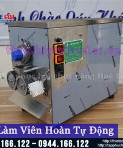 Máy làm viên hoàn cứng tự động LYSW-19S
