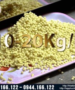 Máy làm viên hoàn tự động kèm bao viên và sấy khô