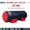 Buồng oxy cao áp ST-901
